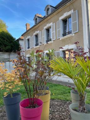 Le Petit Monde de Molly - Housity