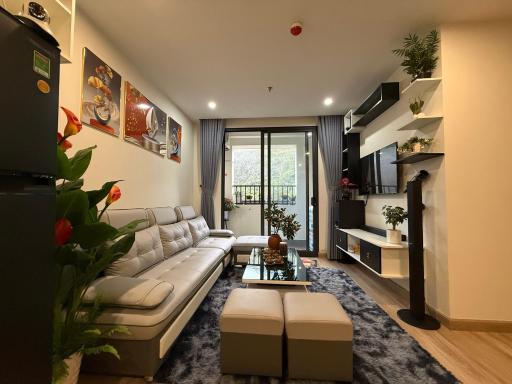 Irista Hill - Housity