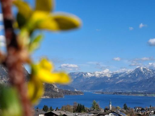 Traum Blick Sankt Gilgen - Housity