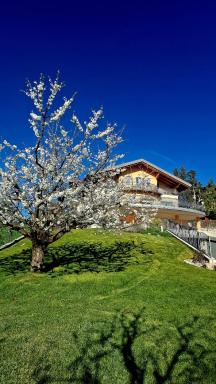 Affittacamere Dolce Sogno - Housity