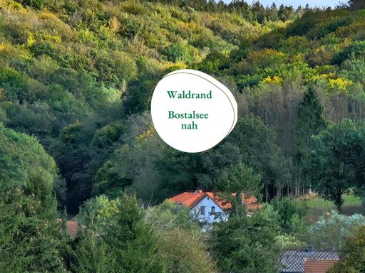 Ferienwohnung Schwarzhof- Hahnekräh am Bostalsee, helle 75 qm & hundefreundlich - Housity