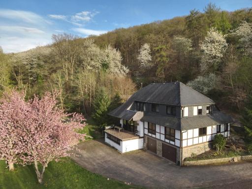 Totale Ruhe im Wald - Housity