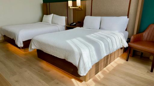 Holiday Inn Houston S - NRG Area - Med Ctr, an IHG Hotel - Housity