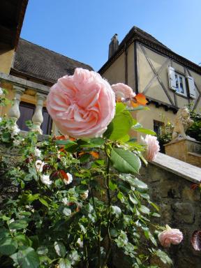 Le Tambourinet - Housity