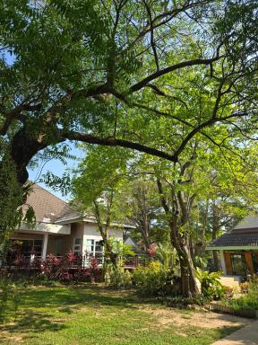 Lazy Daisy Nakhon Nayok - Housity