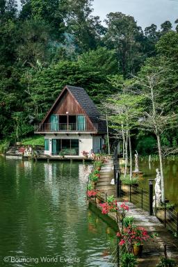 Mantin Forest Art Farmstay - Housity