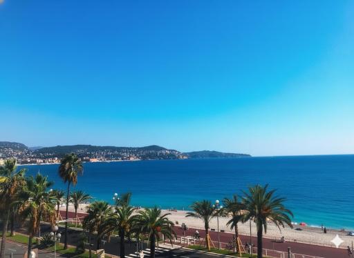 219 Promenade - Housity
