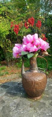 B&B delle Arti - Housity