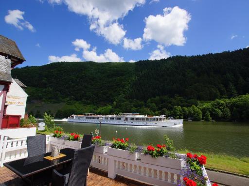 Fewo Moseljuwel mit Sauna und Pool - Housity