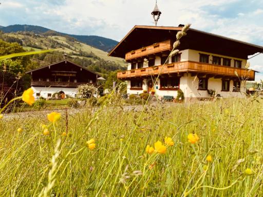 Haus Wolfbachgut - Housity
