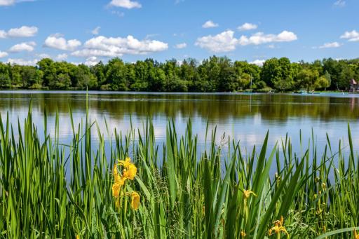 Fewo am Stadtsee - Bad Waldsee - Housity