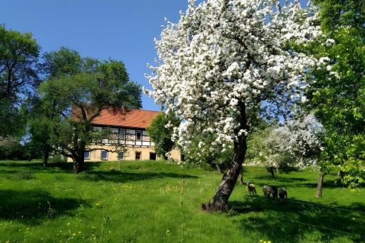 Ferienwohnung Böhme - Housity
