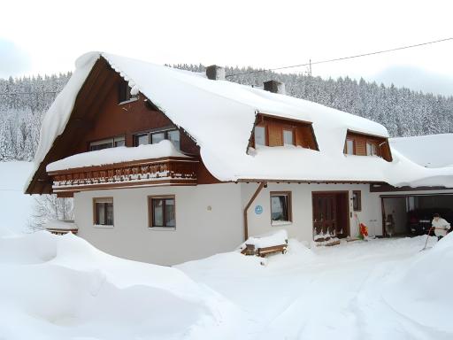 Haus Pfaff - Housity