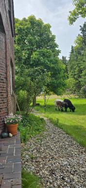 Ferienwohnung Wiesmoor - Ranch - Housity