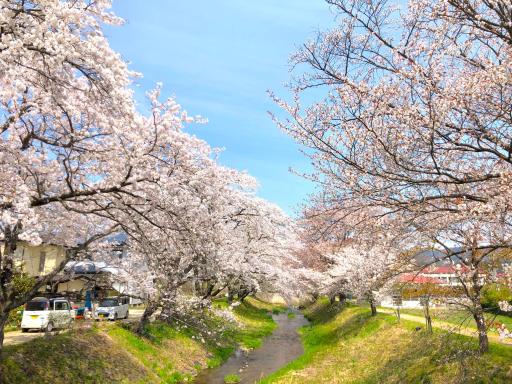 楓 -Kaede- - Housity