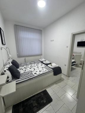 Vila Cirkovic - 200m od mermernog setalista - Housity
