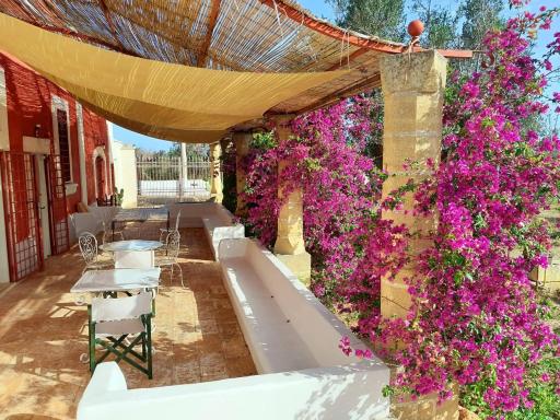 Casina Rossa di Pietrafitta - Housity