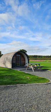 Eastridge Glamping - Camping Pods - Housity