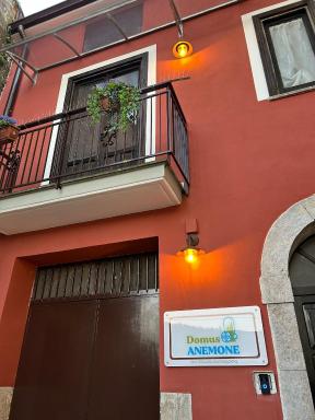 Domus Anemone B&B - Housity