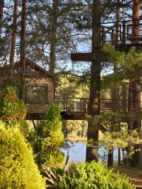 Beachfront · Private Beach Treehouse Čiekurs - Housity