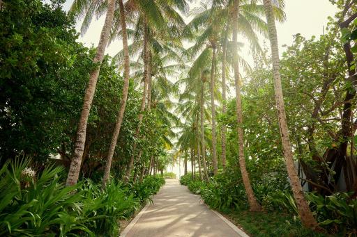 Hotel Greystone - Adults Only - Housity