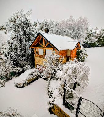 Blue Bird House - Housity