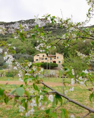 Agriturismo Alveare - Housity