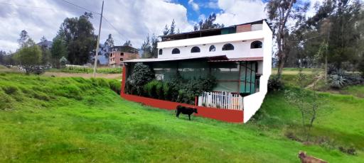 Hostal Selena - Housity