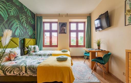APARTAMENTY TR 11 Apartament nr 1 - Housity