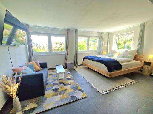 Modernes Studio im Geo-Naturpark Bergstrasse-Odenwald - Housity