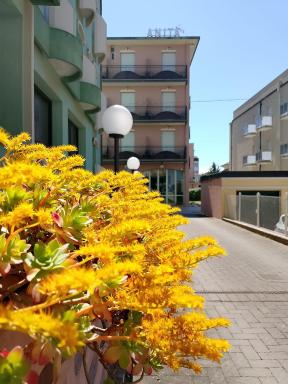 Hotel Anita B&B sul lungomare - Housity