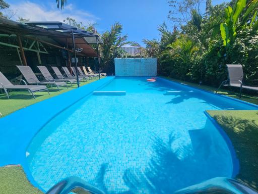 Ballena Rey Hotel - Housity