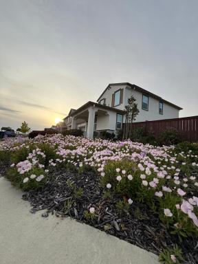 #stayRioVista Luxury-Entire House-near river -Hot Tub - Housity