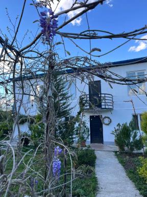 NOVEL HOUSE - Housity