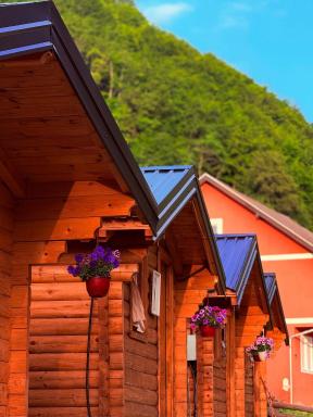 Dedushi Guesthouse &Wood cabins-Camping place - Housity