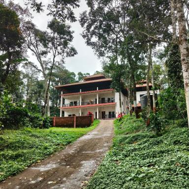 Navut Homestay - Serenity Among Coffee Plantations - Hizvo