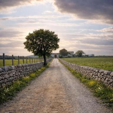 Agriturismo Valle di Chiaramonte - Housity