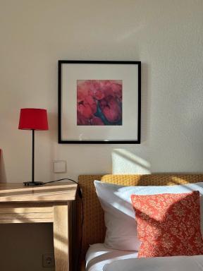 Gasthof Blume Offenburg Hotel & Restaurant - Housity