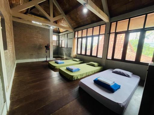 Saka Homestay Boutique & Cafe - Housity