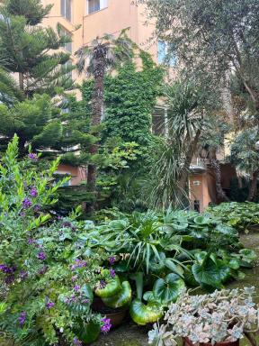 Hotel La Terrazza - Housity