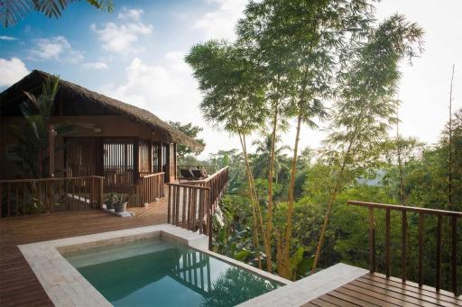 Pura Vida Ecolodge - Housity