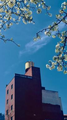 Flushing Central Hotel 88 - Housity