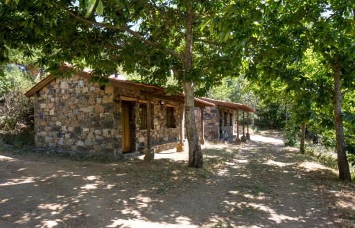 Cepo Verde - Housity