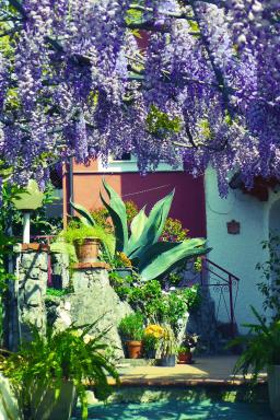 Residence Chalet degli Ulivi - Housity