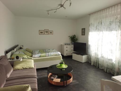 Ferienwohnungen Triebels - Housity