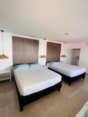 Island Vibes - Housity
