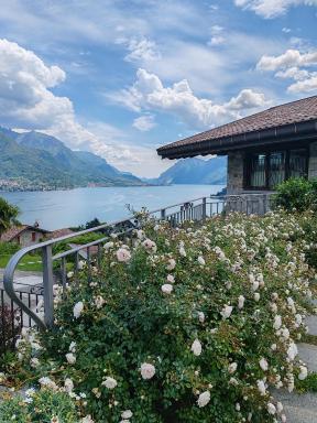 ALBA e TRAMONTO Appartamenti vista lago - Housity
