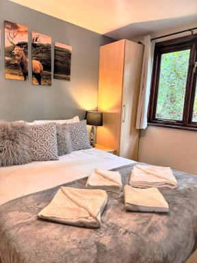 Wren 21-Hot Tub-Woodland Lodges-Tenby-Camarthenshire - Housity