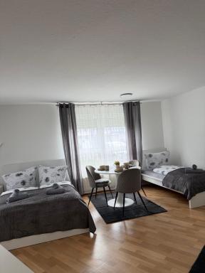 Gemütliche Ferienwohnung in Sigmaringen - Housity