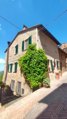 Ciliano 16 - Housity